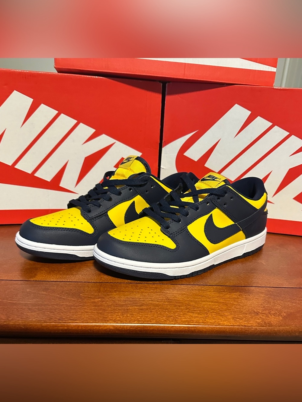 Nike Dunk Low Michigan (2021)